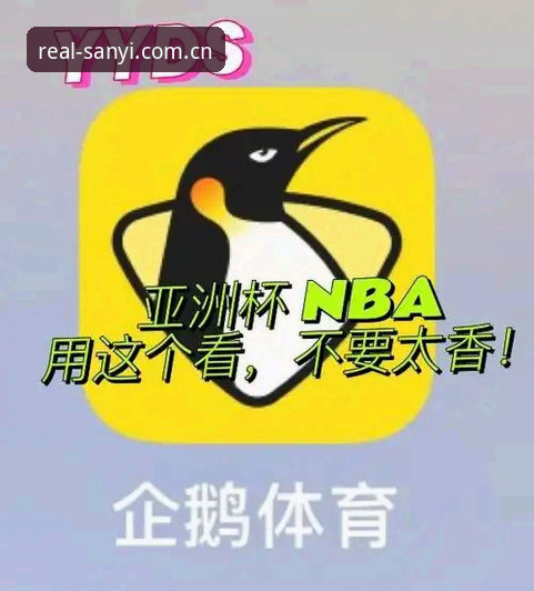 新手入门三亿体育官网不迷路，亲测入口、数据与故障排除全记录